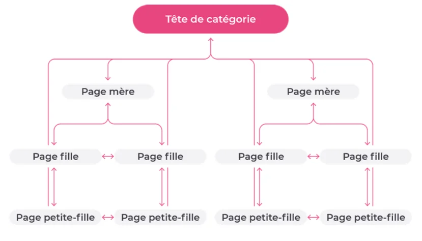 cocon sémantique