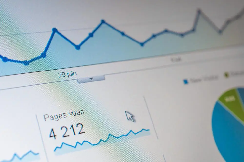 expert Seo