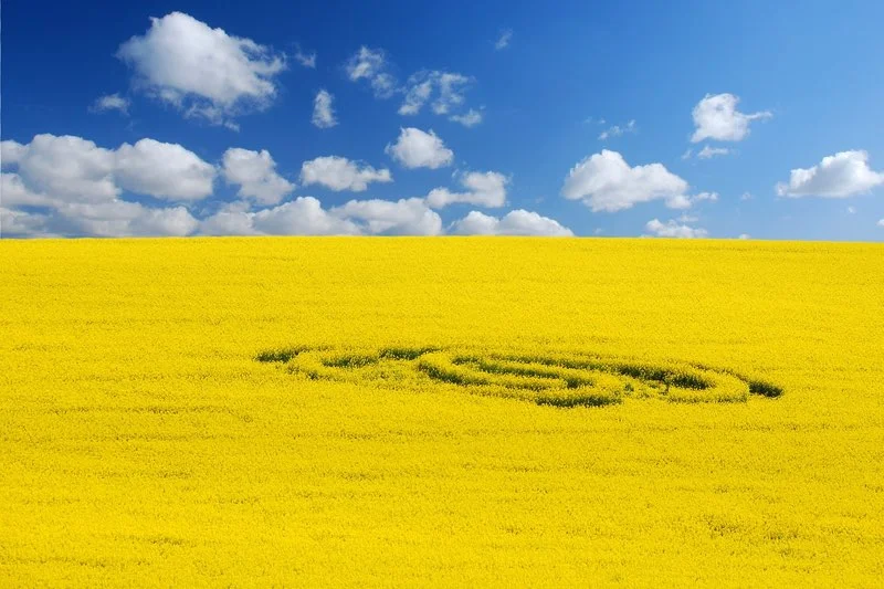 Comment optimiser une image