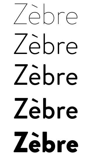 Différentes poids d'une même typographie