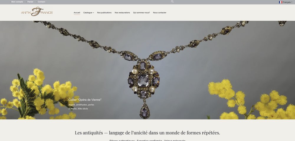 Capture e-commerce-antiquitées