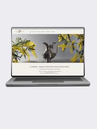 e-commerce antik france